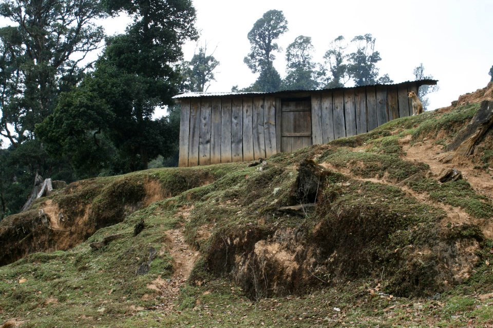 Guatemalan Hillside. Anna Vogt