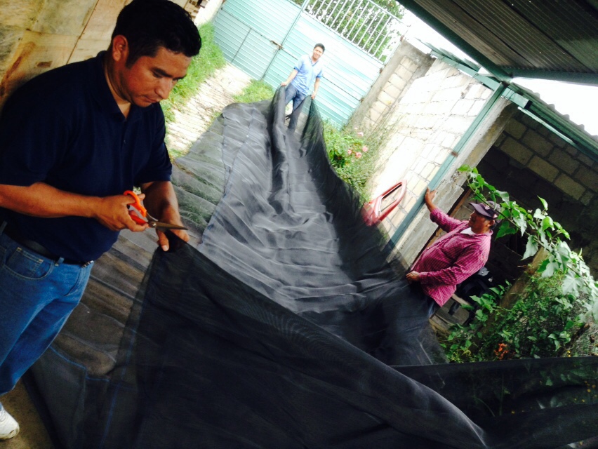 Building a greenhouse. 