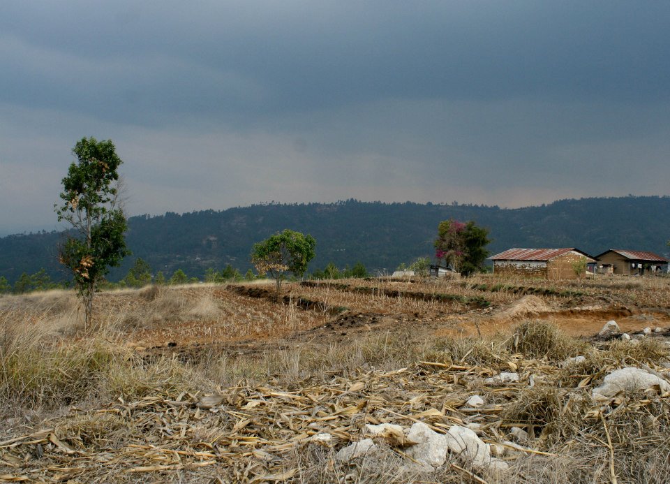 Small farm near the Marlin Mine in Guatemala. Anna Vogt