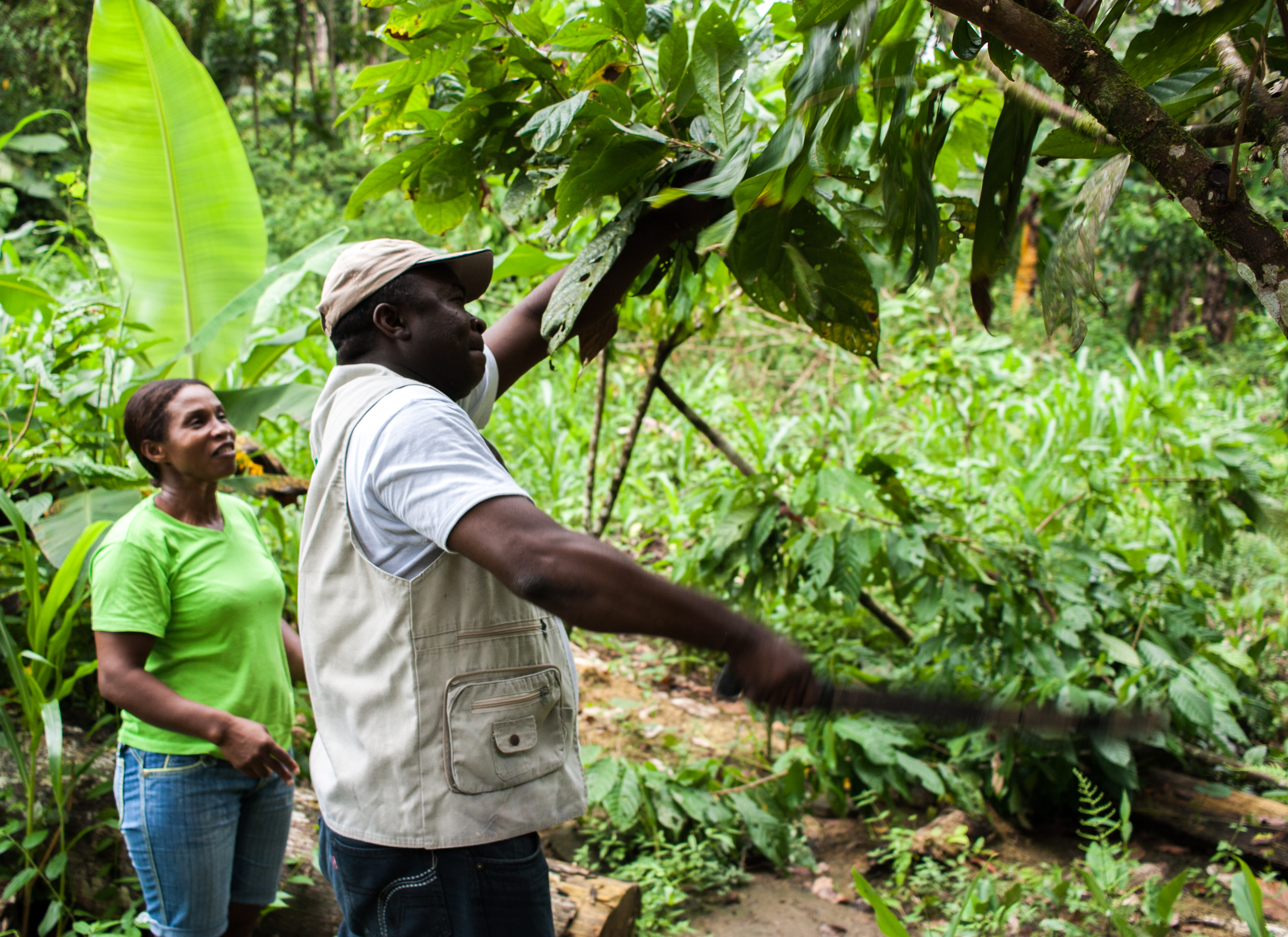 Chocolate farmers in Choco, Colombia. Anna Vogt