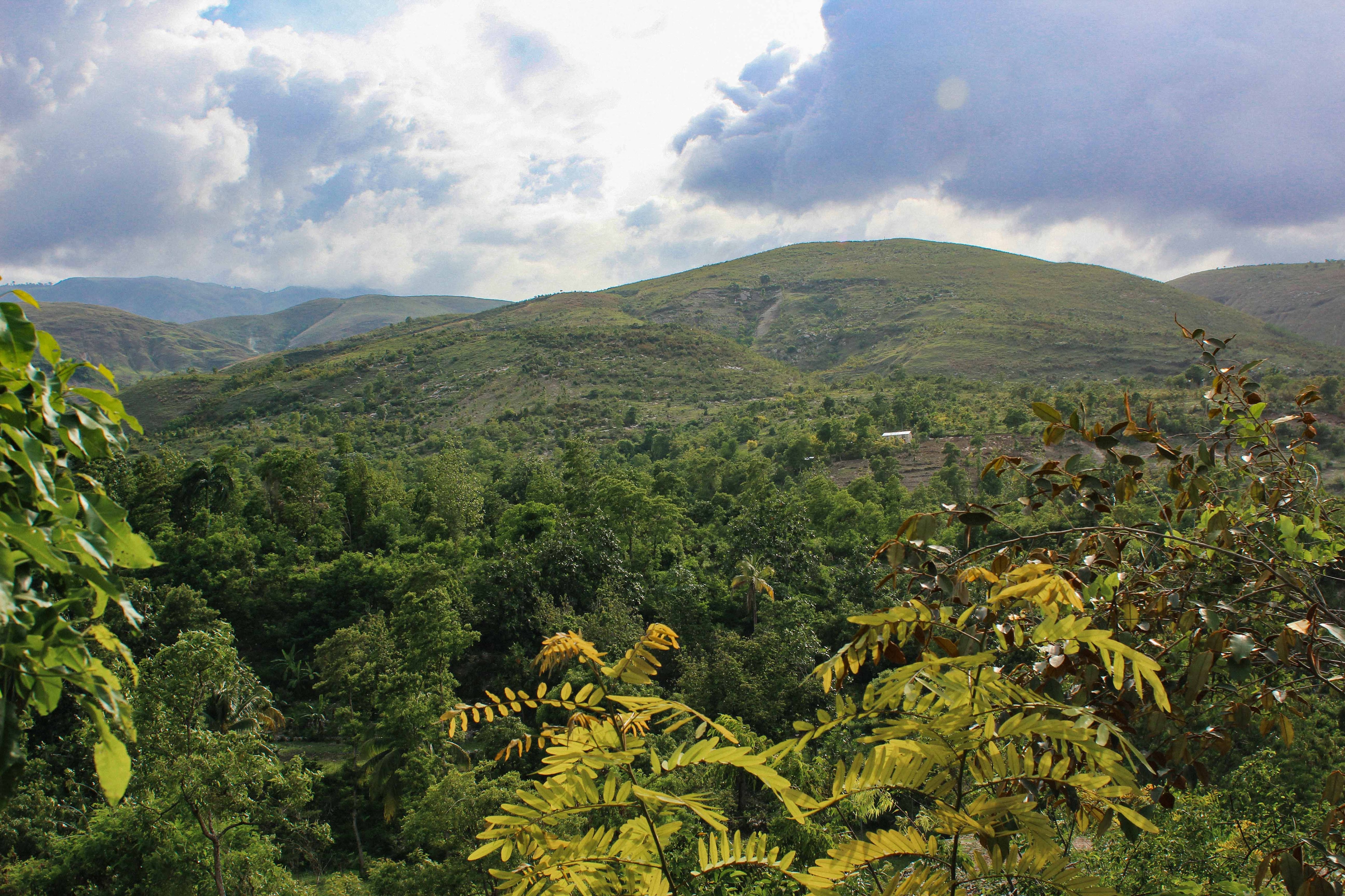 Mountains above tree nursery in Kristan. Ted Oswald.