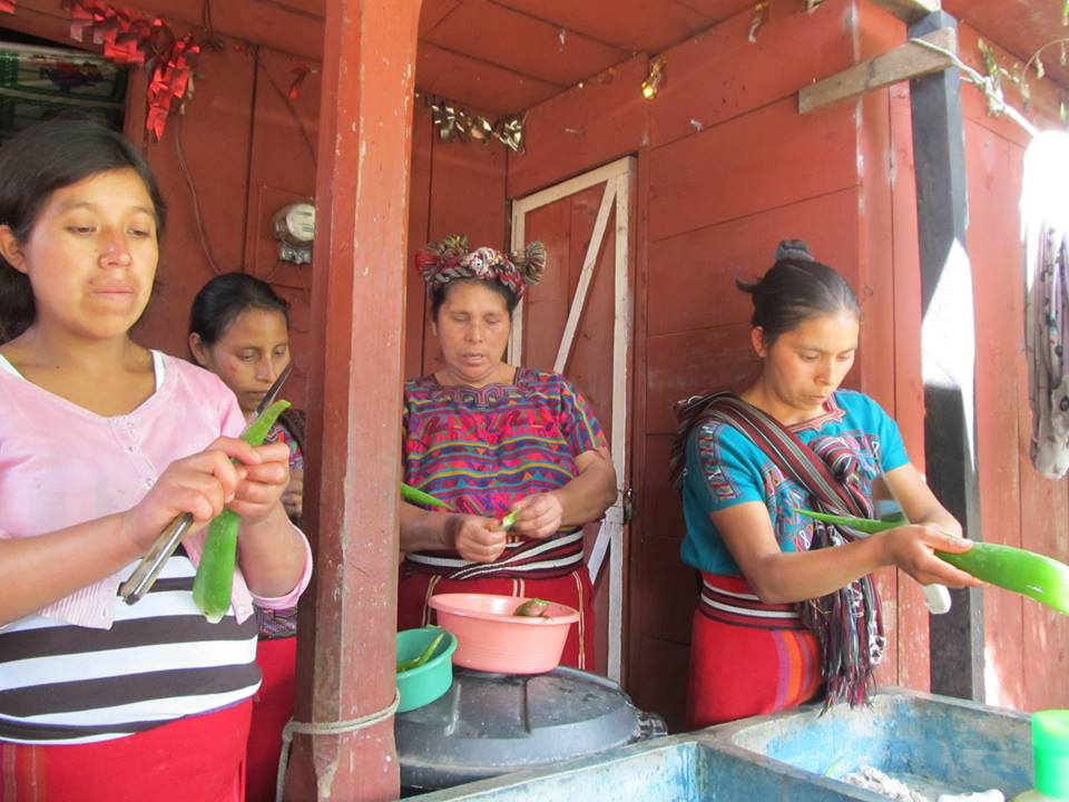 Aprendiendo sobre plantas medicinales y elaborando champú con sábila, albahaca y romero con las mujeres en Rio Azul y Tzalb´al La Laguna